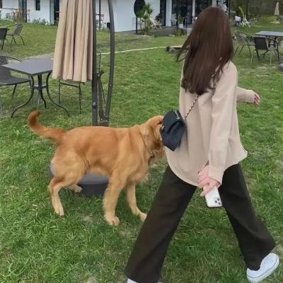 绝代妖姬