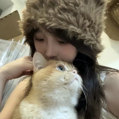 花满楼之松漠虎符
